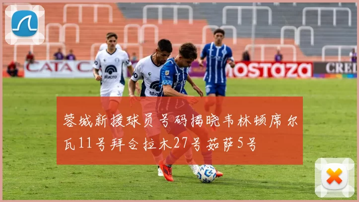 蓉城新援球员号码揭晓韦林顿席尔瓦11号拜合拉木27号茹萨5号