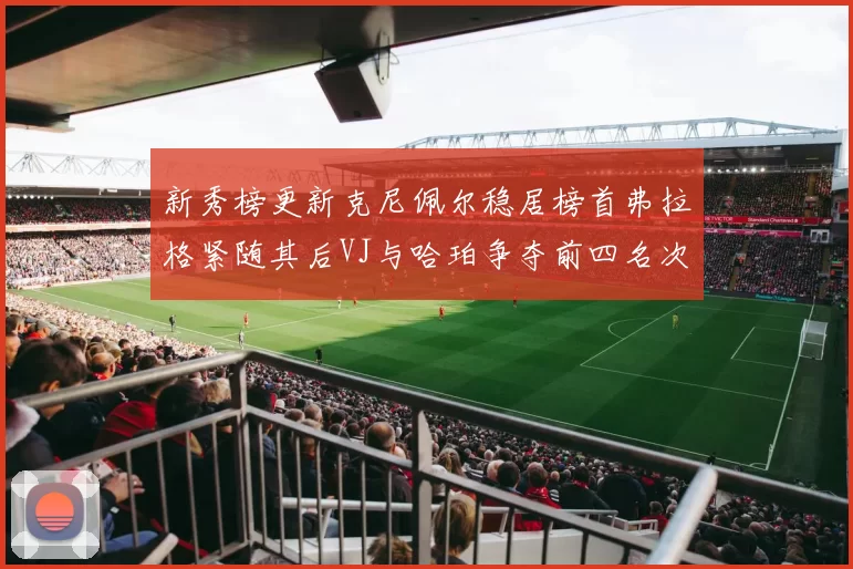 新秀榜更新克尼佩尔稳居榜首弗拉格紧随其后VJ与哈珀争夺前四名次